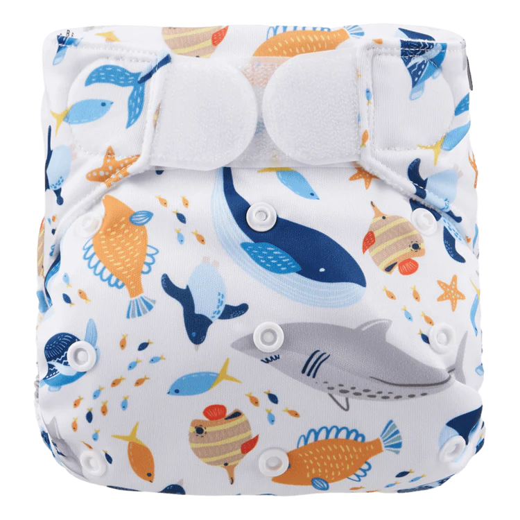Happy Bear - Zwemluier - Klittenband - 0-3 jaar - Zeedieren