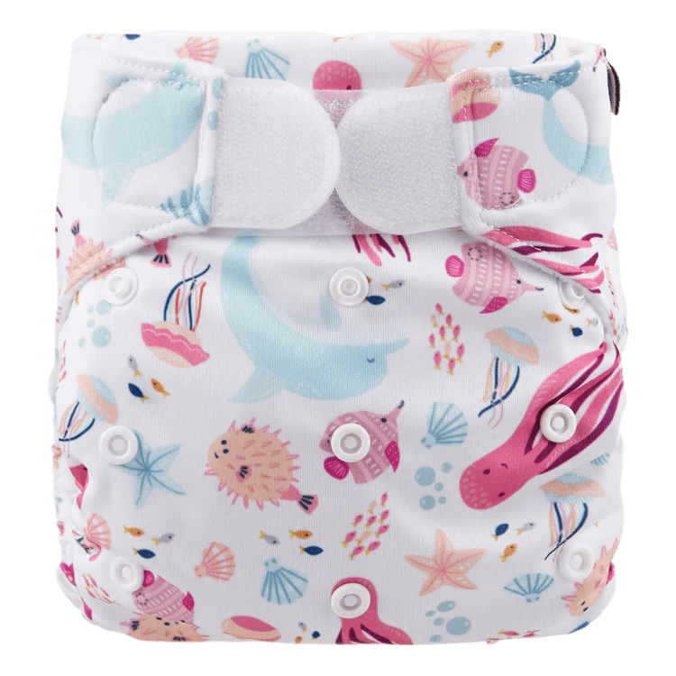Happy Bear - Zwemluier - Klittenband - 0-3 jaar - Pacific